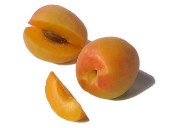 Самые необычные гибриды сливы, абрикоса, персика и яблока с фото