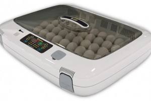 Автоматический инкубатор для яиц: виды, устройство, технические характеристики с фото