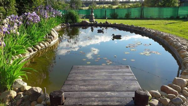 Как сделать пруд в саду своими руками  грамотное создание эстетического элемента сада с фото