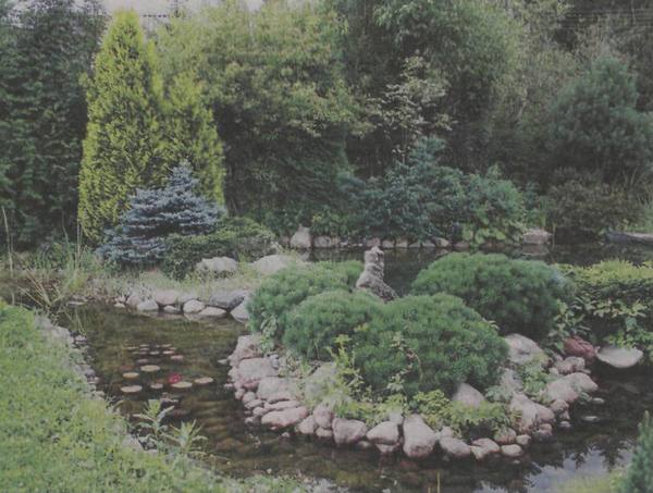 Как создать японский сад - фото