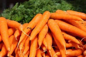 Ранние сорта моркови: вкусовые качества и сроки созревания - фото