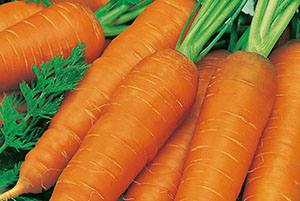 Целебные свойства моркови: витамины и польза для здоровья - фото