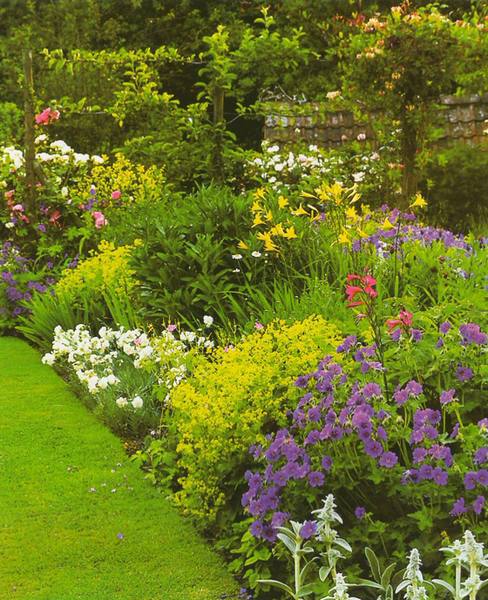 Оформление цветников: 6 идей для дачного сада - фото