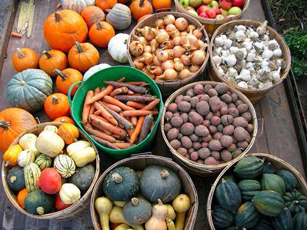 Правильное хранение овощей и других культур с фото