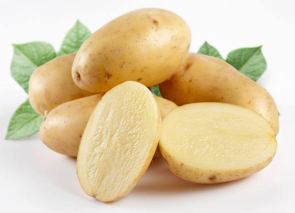Сорта раннего картофеля с фото