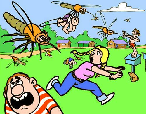 Старт дачного сезона: защищаемся от комаров - фото