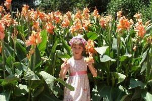 Высокорослые многолетние садовые цветы: фото и названия растений, советы по ... - фото